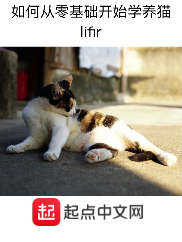 如何从零基础开始学养猫